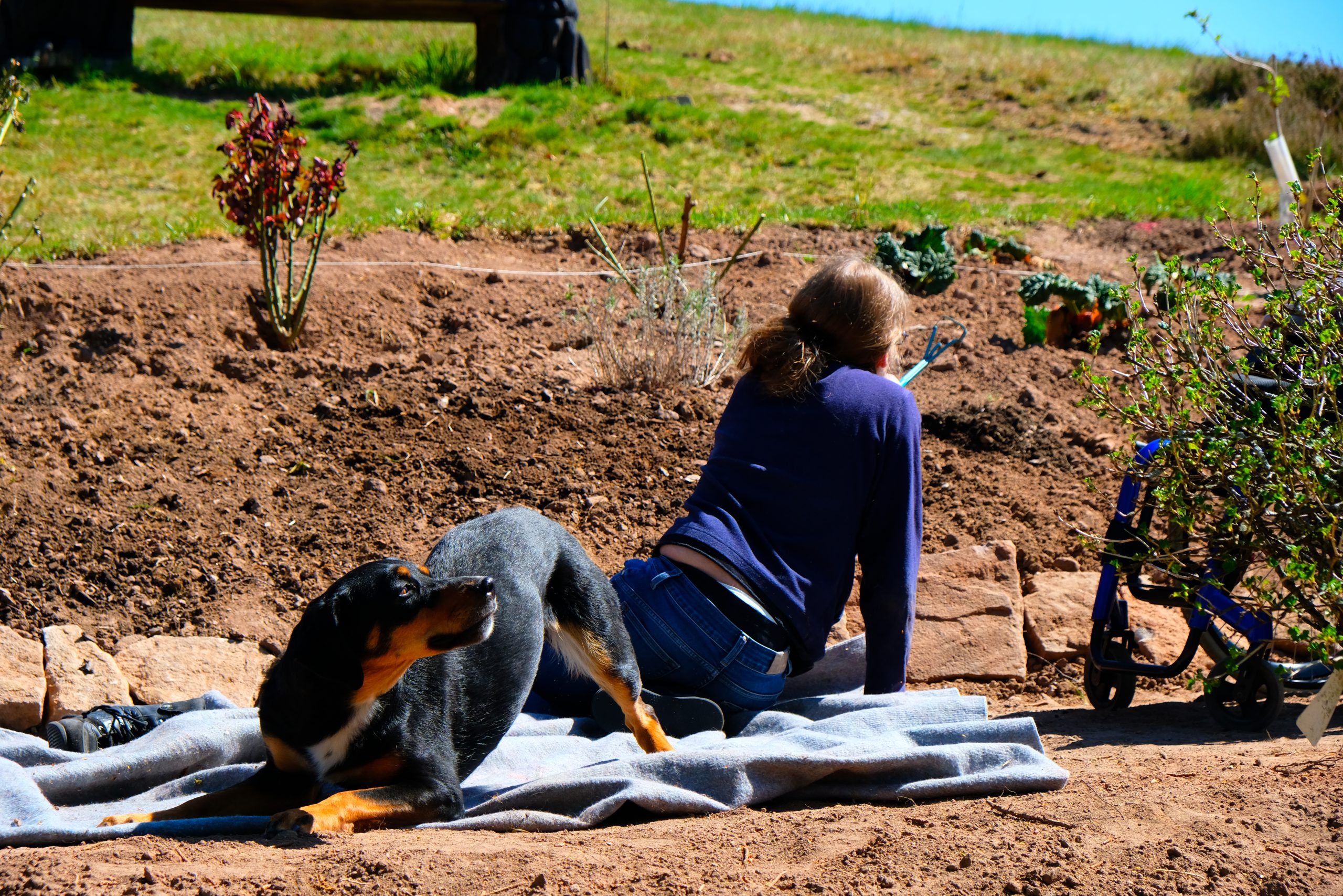 Impressionen – der Garten auf dem Braunberg