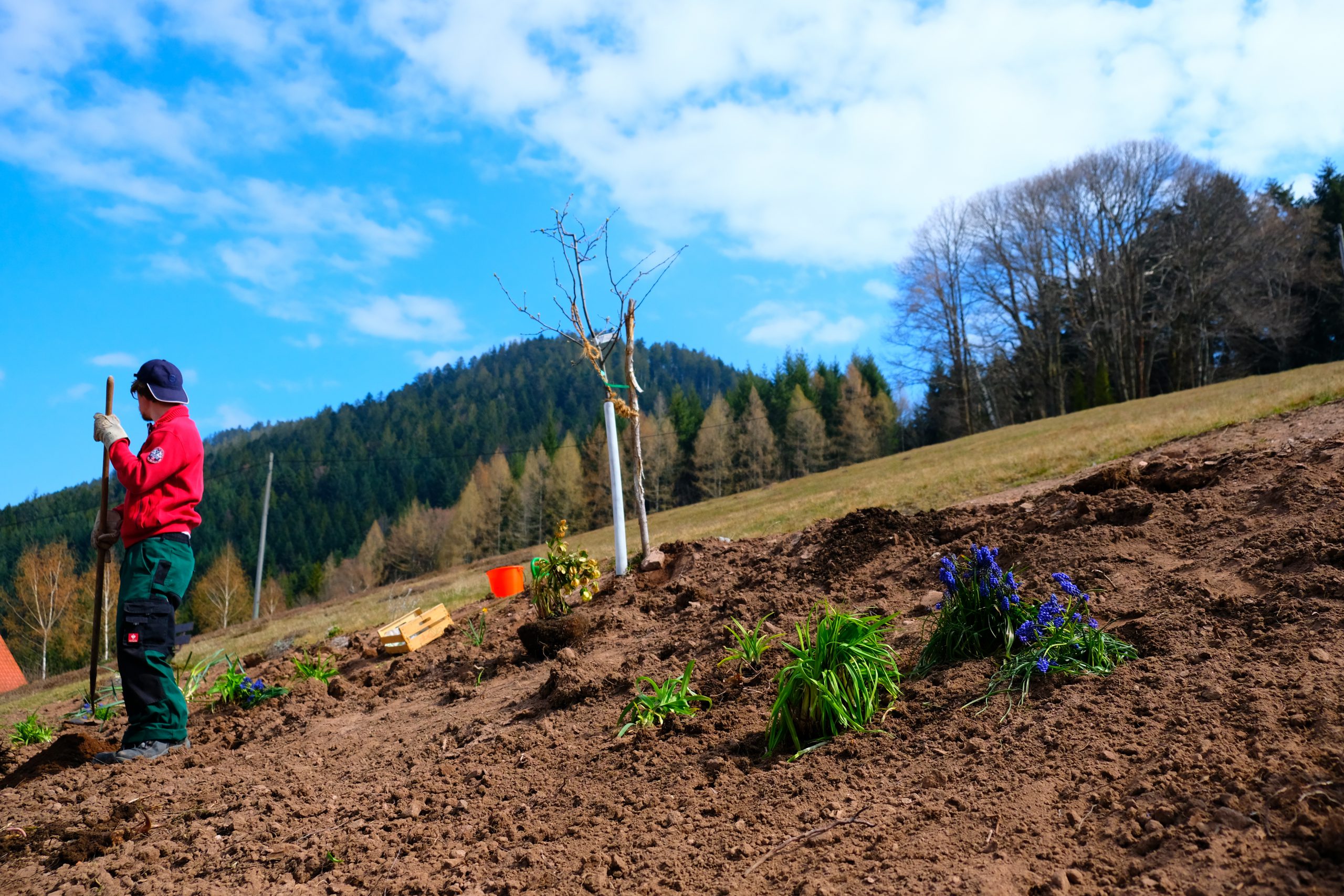 Neuigkeiten vom Gartenprojekt