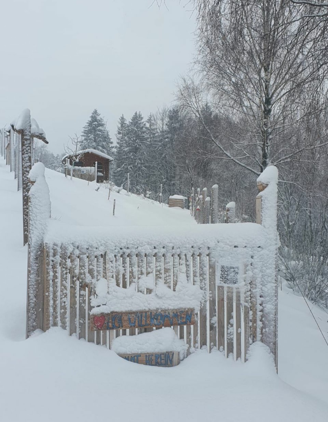 gARTen: Es geht weiter